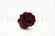 Preserved Rose L Burgundy (set of 8) 12