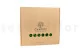 Preserved Reindeer Moss Nature Green (Box) 6