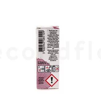 Floral Scent Oil Rose