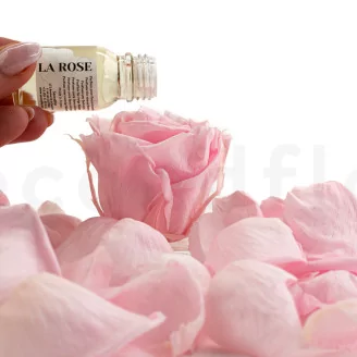 Floral Scent Oil Rose