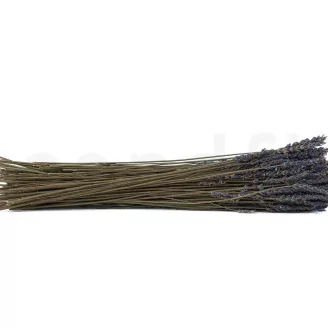 Dried Oregon Lavender