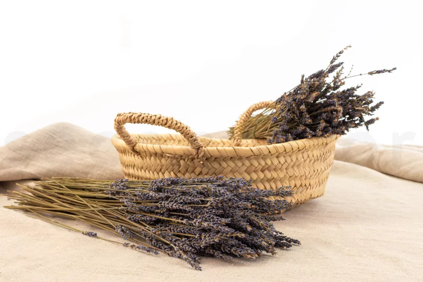 Dried Oregon Lavender