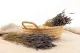 Dried Oregon Lavender 1