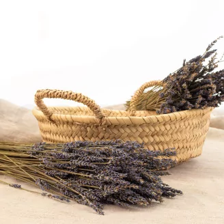 Dried Oregon Lavender