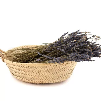 Dried Oregon Lavender