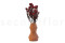 A Bunch of Beautifully Preserved Rice Flower in a Vibrant Red Color