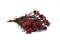 A Bunch of Beautifully Preserved Rice Flower in a Vibrant Red Color