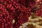 A Bunch of Beautifully Preserved Rice Flower in a Vibrant Red Color