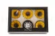 Preserved Sunflower (set of 6) 12