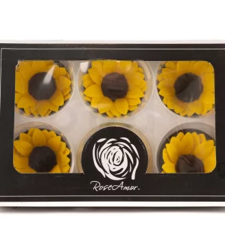 Preserved Sunflower (set of 6)