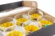 Preserved Sunflower (set of 6) 3