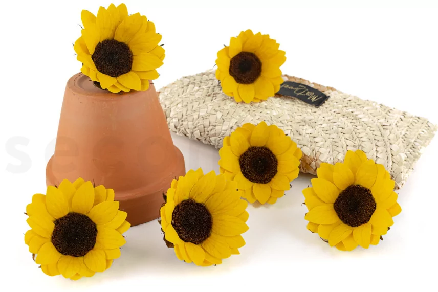 Preserved Sunflower (set of 6)