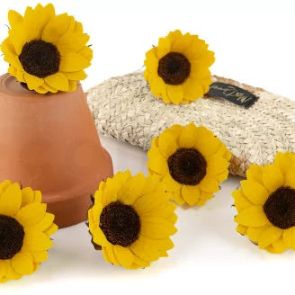 Preserved Sunflower (set of 6)