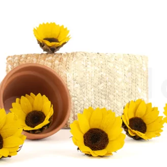 Preserved Sunflower (set of 6)