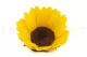 Preserved Sunflower (set of 6) 11
