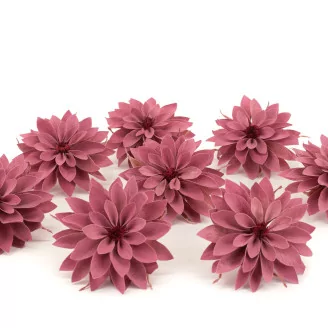 Preserved Dahlia Old Rose (set of 6)
