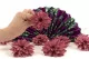 Preserved Dahlia Old Rose (set of 6) 5
