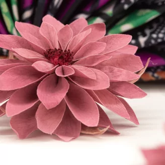 Preserved Dahlia Old Rose (set of 6)