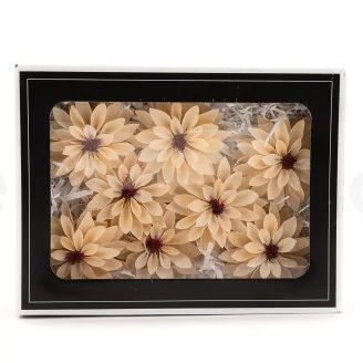 Preserved Dahlia Champagne (set of 6)