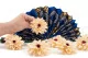 Preserved Dahlia Champagne (set of 6) 5