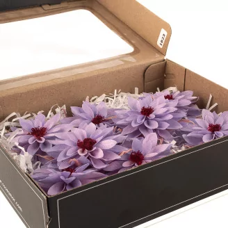 Preserved Dahlia Lavender (set of 6)
