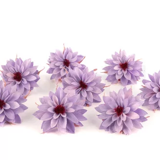 Preserved Dahlia Lavender (set of 6)