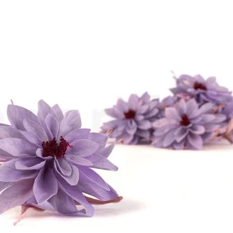 Preserved Dahlia Lavender (set of 6)