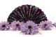 Preserved Dahlia Lavender (set of 6) 1