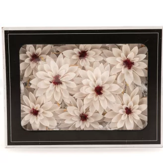 Preserved Dahlia White (set of 6)