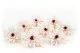 Preserved Dahlia White (set of 6) 4