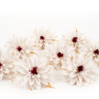 Preserved Dahlia White (set of 6)