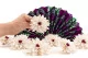 Preserved Dahlia White (set of 6) 5