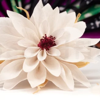 Preserved Dahlia White (set of 6)