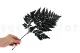 Preserved Leather Fern (set of 6) 5