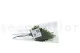 Preserved Lutti Fern (set of 6) 7