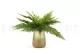 Artificial Leather Fern 2