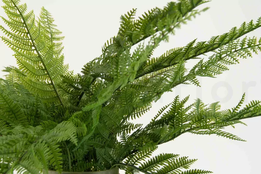 Artificial Leather Fern