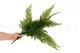 Artificial Leather Fern 4