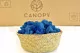 Preserved Reindeer Moss Royal Blue (Bulk Box) 6