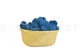 Preserved Reindeer Moss Royal Blue (Bulk Box) 8