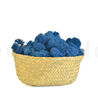 Preserved Reindeer Moss Royal Blue (Bulk Box)