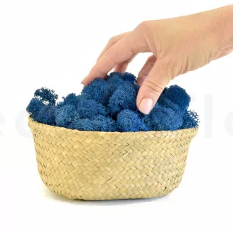 Preserved Reindeer Moss Royal Blue (Bulk Box)