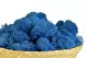 Preserved Reindeer Moss Royal Blue (Bulk Box) 5
