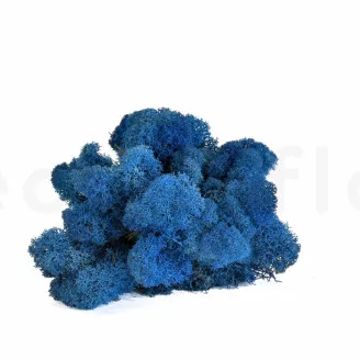 Preserved Reindeer Moss Royal Blue (Bulk Box)