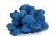 Preserved Reindeer Moss Royal Blue (Bulk Box) 9