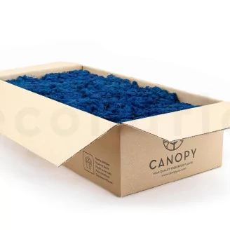 Preserved Reindeer Moss Royal Blue (Bulk Box)