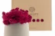 Preserved Reindeer Moss Fuchsia (Box) 6