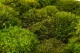 Preserved Mood Moss Light Green (Box) 1