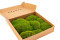 A Box of Mood Moss Light Green for Making Moss Art