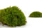 A Box of Mood Moss Light Green for Making Moss Art